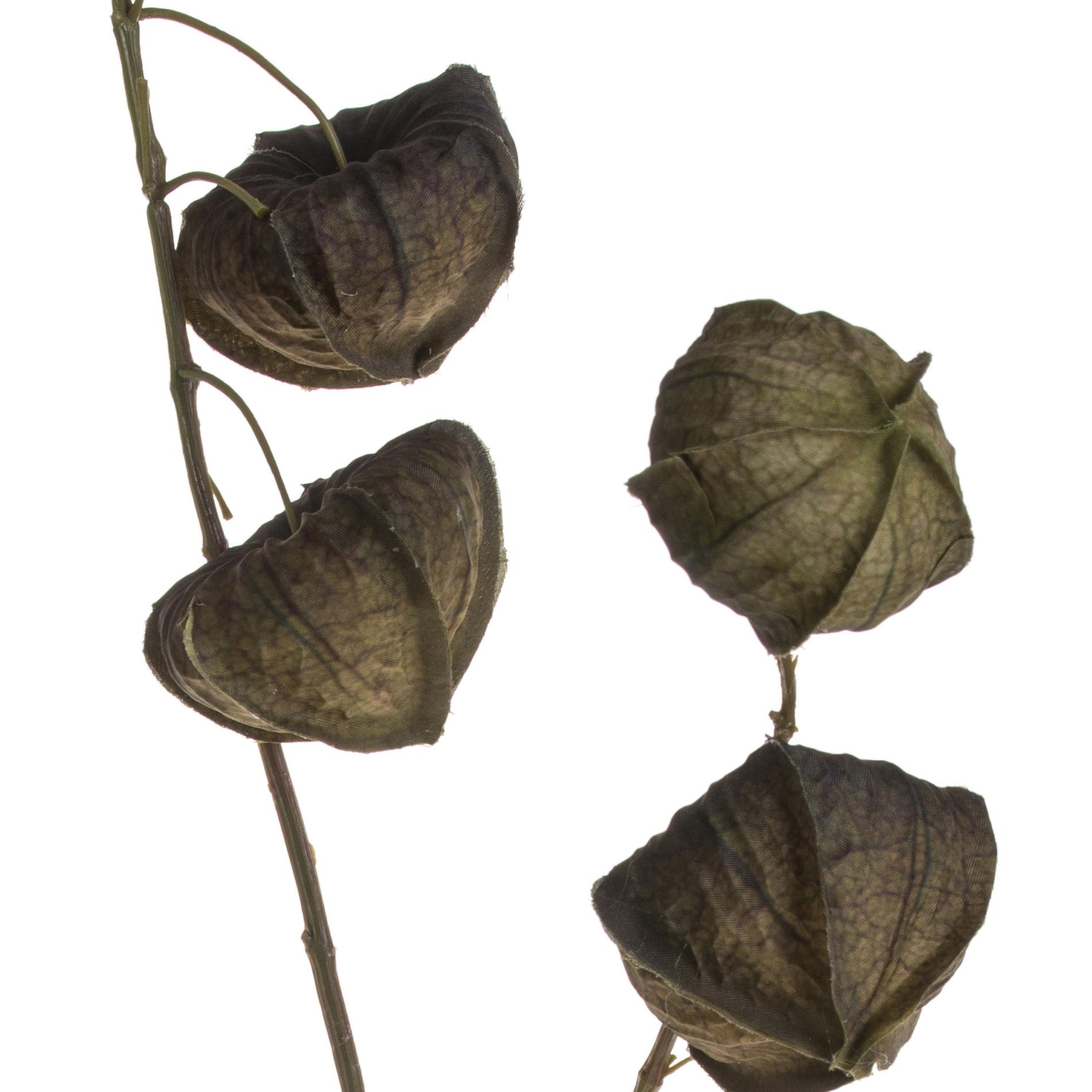 Set 4 Rami Artificiali di Phisalis Altezza 81 cm Multicolore