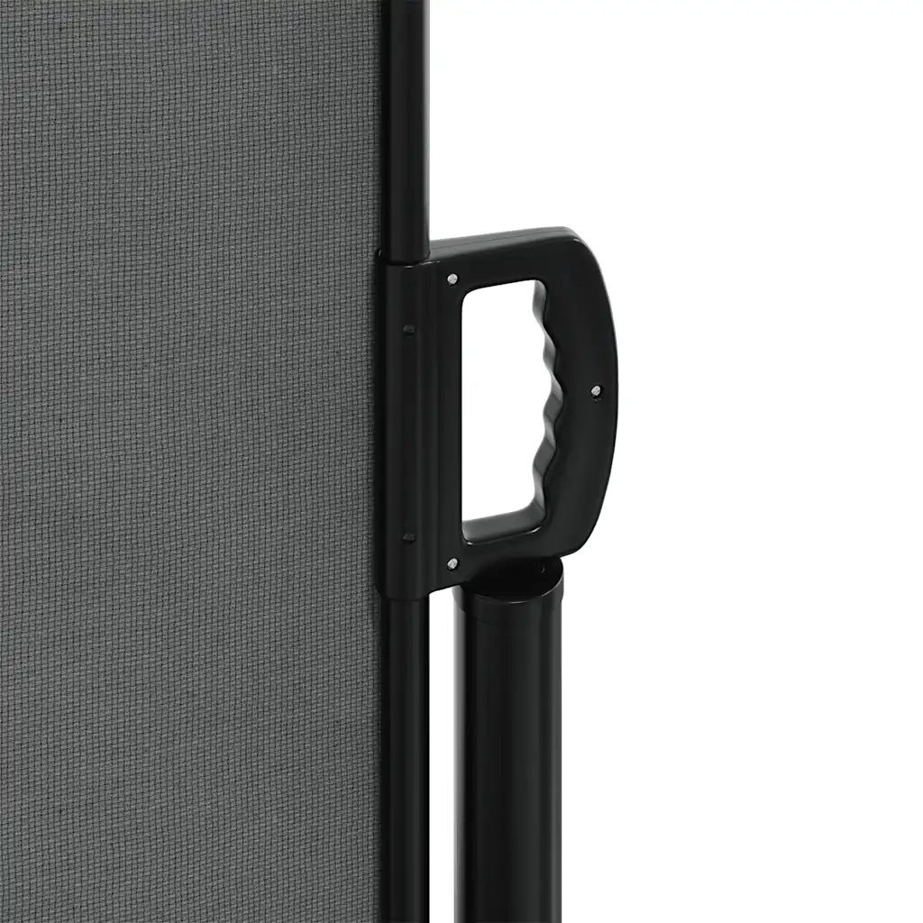 Tenda da sole laterale retrattile antracite 180x300 cm 4004353