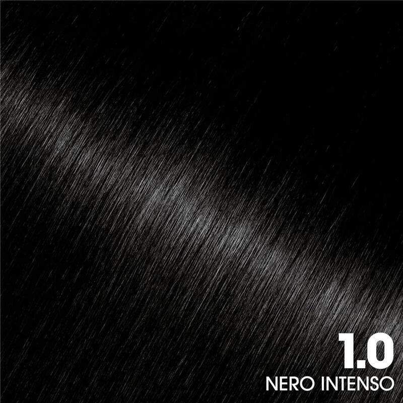 SET 2 GARNIER OLIA TINTA PERMANENTE SENZA AMMONIACA 1.0 NERO INTENSO