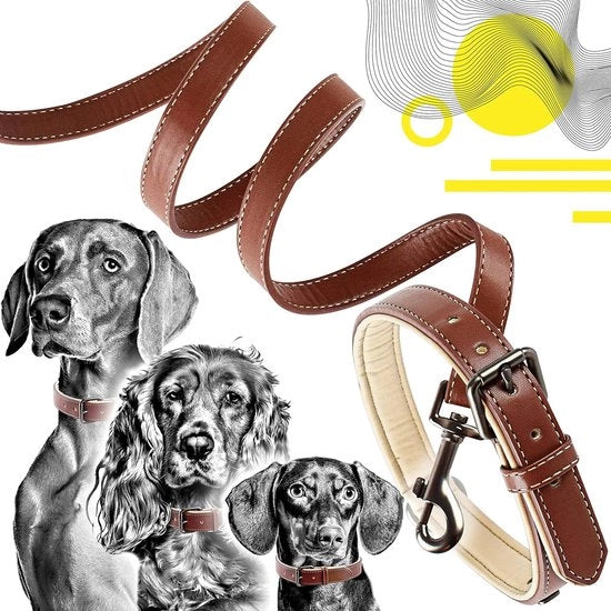Collare elegante per cani e collare - Set da 1 - a due colori
