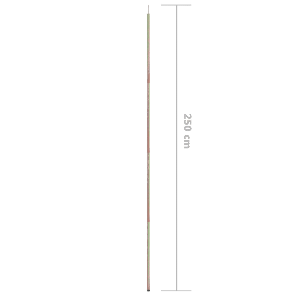 Asta per Parasole a Vela 250 cm Acciaio Zincato CFW4689760