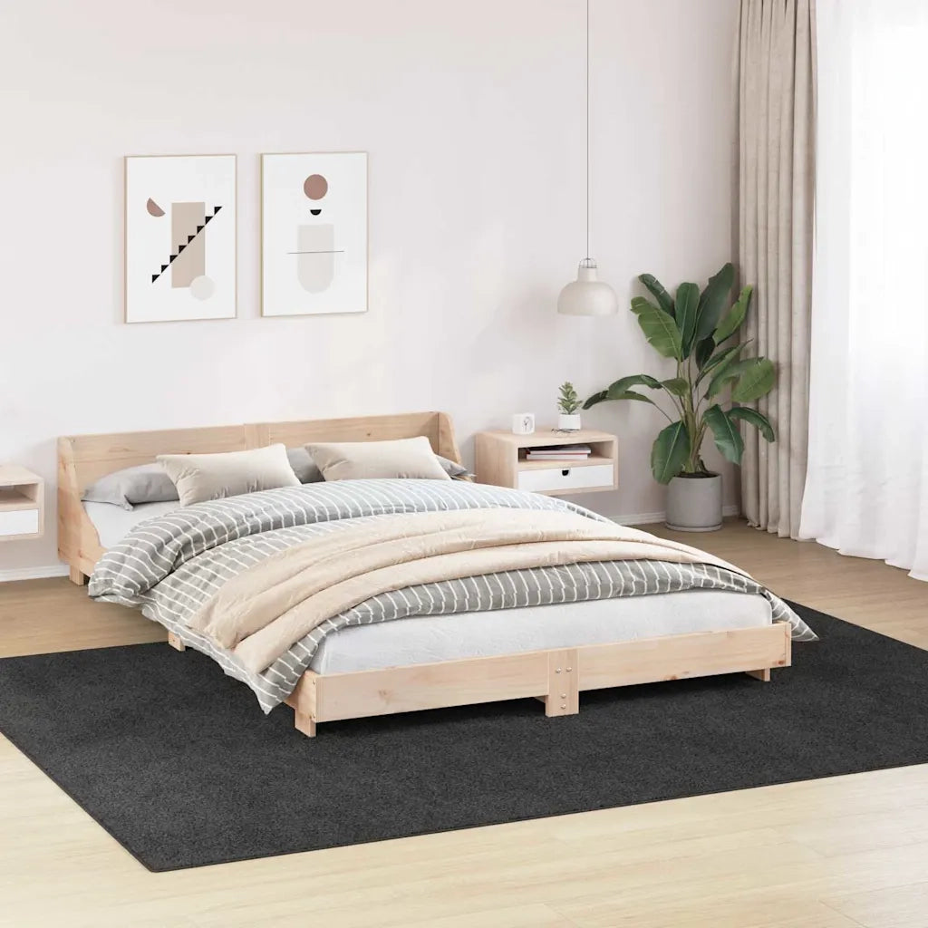 Tappeto Shaggy Antiscivolo Grigio scuro 240 x 340 cm PP 4019772