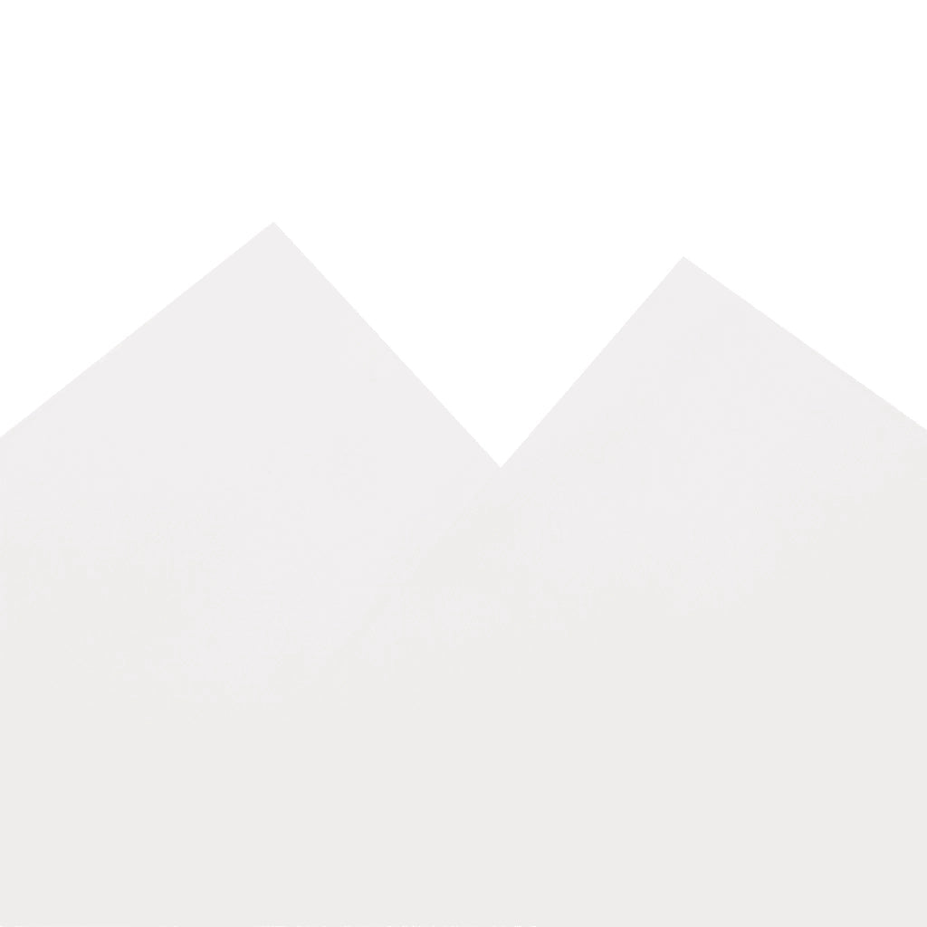 Telone Bianco 4x8 m 650 g/m² 156188