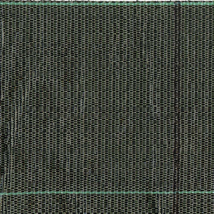 Telo Pacciamatura da Giardino in Polipropilene 2,10x100m Rama Ground Nero e Verde