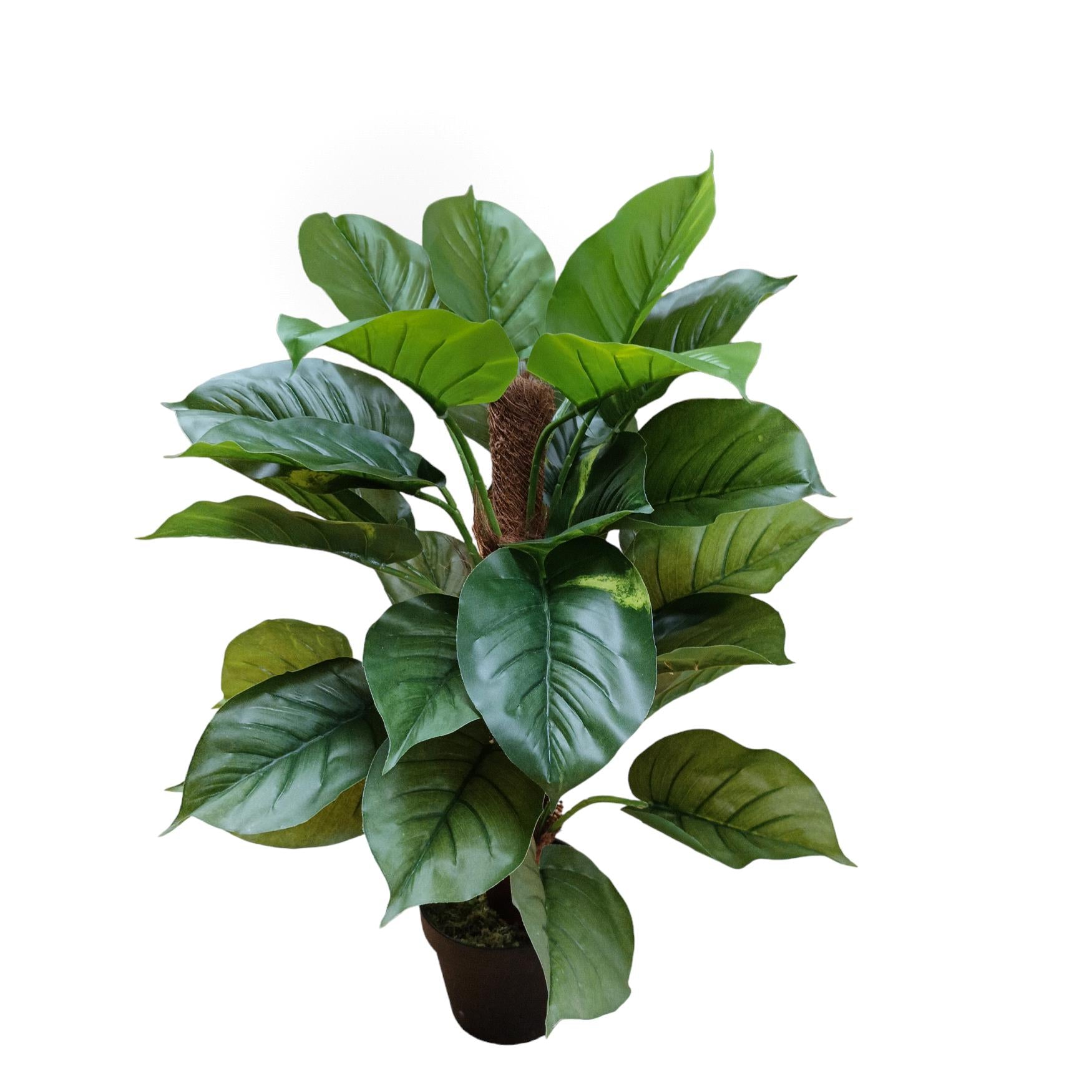 Pianta Artificiale Pothos in Vaso con 30 Foglie H 85 cm