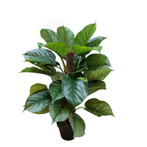 Pianta Artificiale Pothos in Vaso con 30 Foglie H 85 cm
