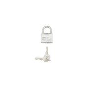 LUCCHETTO INOX ARCO CORTO MM.50