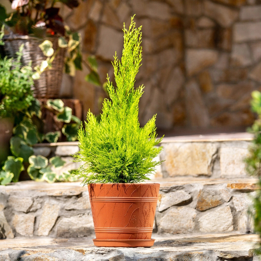 Vaso da fiori KADAX da 34 cm con coperchio effetto legno e supporto in plastica.