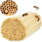 500 Tubi per Insetti Repellente Fattore di Rimpollo di Ape Selvatica Materiale 20 cm Canne Naturali per Alberi di Insetti