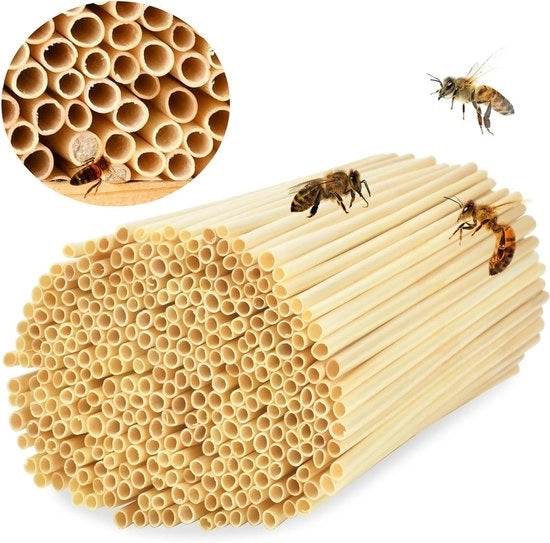 500 Tubi per Insetti Repellente Fattore di Rimpollo di Ape Selvatica Materiale 20 cm Canne Naturali per Alberi di Insetti