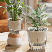 Vaso di Coltura Acquatica, Stazioni di Propagazione Autoirriganti, 11x11,5 cm, Vasca di Risorsa Idrica, Contenitore di Coltivo per Interno ed Esterno, Vasi di Coltura Acquatica Transparenti, Realizzati in Materiale PP e PET