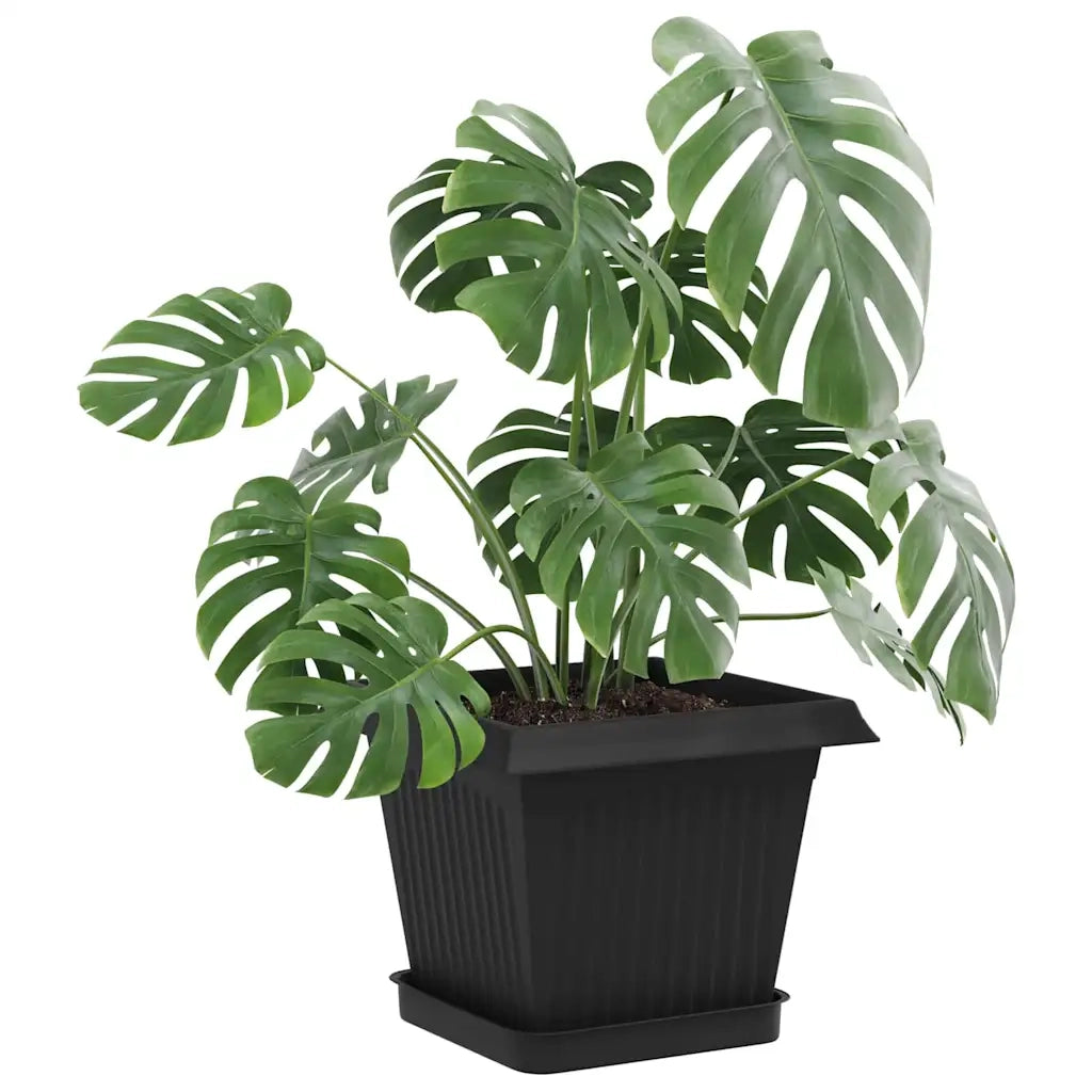 Vasi per Piante 6 pcs Nero 20 x 20 x 16 cm Plastica