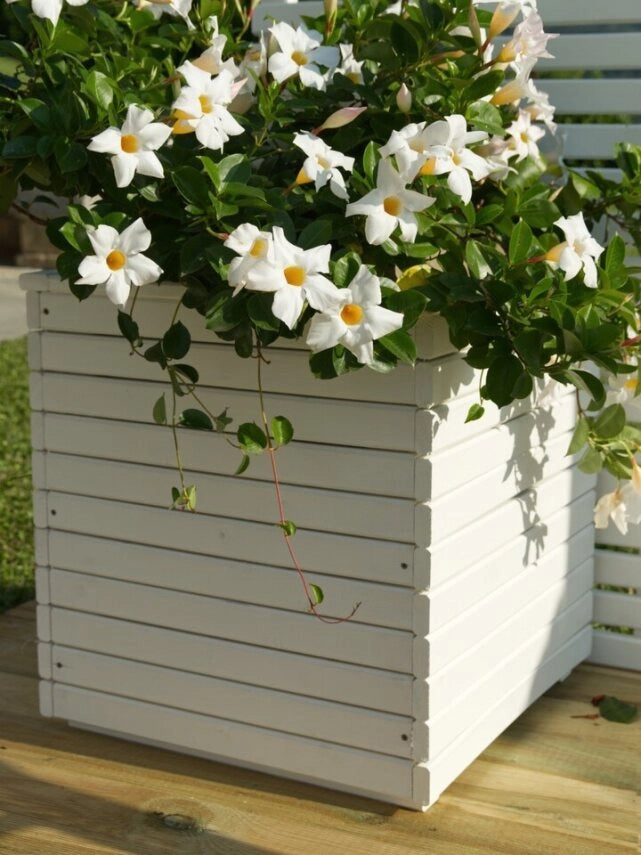 FIORIERA CAMELIA LACCATA BIANCO 50X50X50H