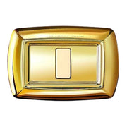 Placca elettrocanali tondò oro in tecnopolimero di alta qualità *** numero posti 1 posto, confezione 1