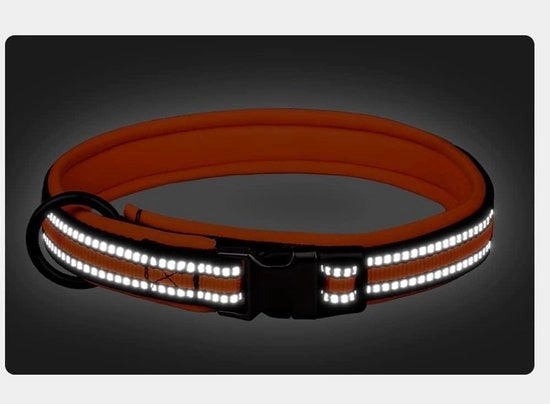 Collare nylon riflettente con chiusura di sicurezza per cani piccoli, medi e grandi (adattabile L con collo 50-65cm colore arancione)