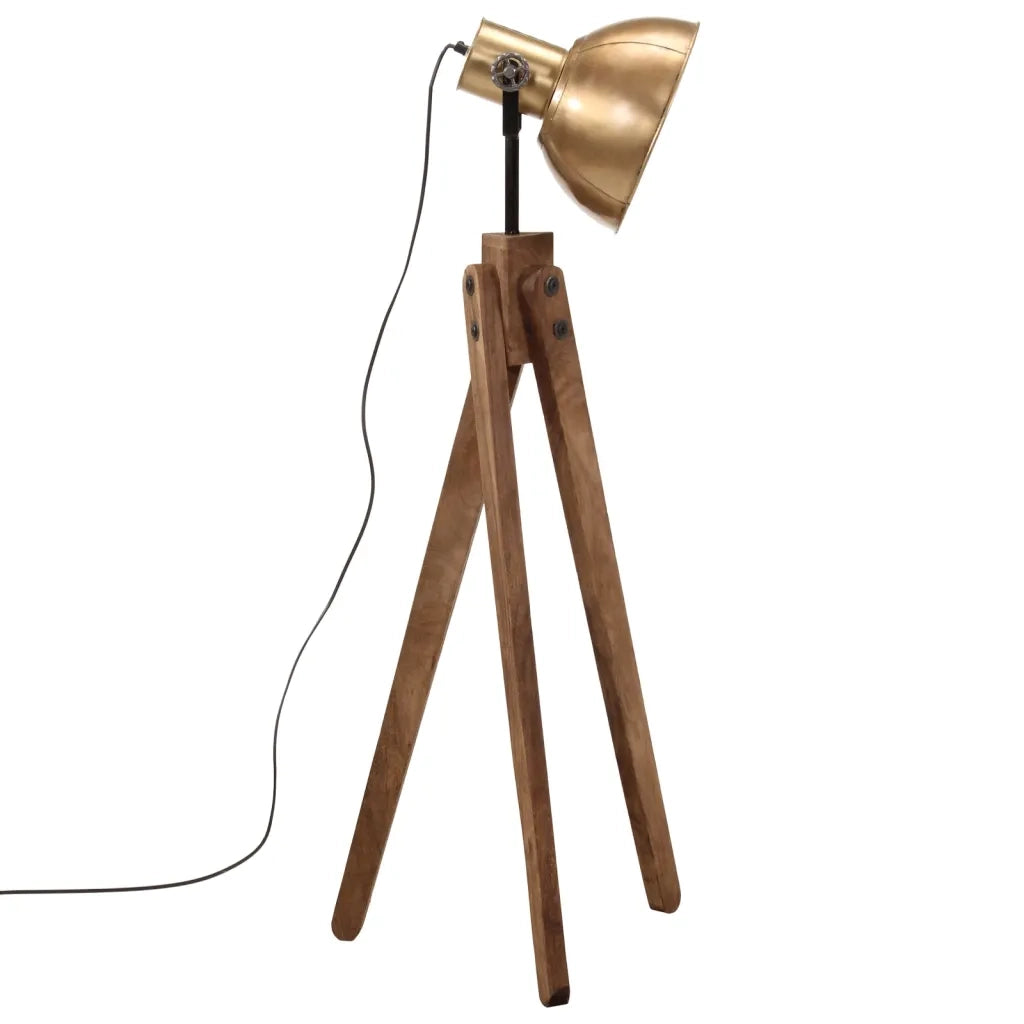 Lampada da Terra 25 W Ottone Anticato 45x45x120 cm E27 371915
