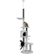 Albero tiragraffi con amaca e casetta ¨C zephmum ¨C grigio 225-255 cm