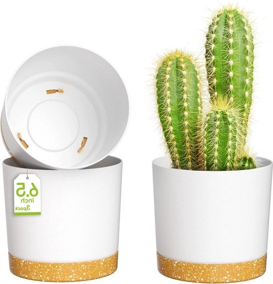 Pannelli per piante da 165cm - Serbatoi per piante con aperture di drenaggio e piastre rimovibili - Pannelli per piante in plastica per giardino interno finestra - Set di 3 in bianco