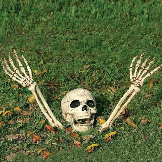 Decorazioni Halloween - 3 pezzi - Testa e Mani di Skeletto - Schede e Mani - Skeletti Plastici Umani - Articoli di Festa per Halloween - Decorazioni per la Casa per Halloween.