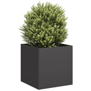 Fioriera Nera 40x40x40 cm in Acciaio Laminato a Freddo 860661