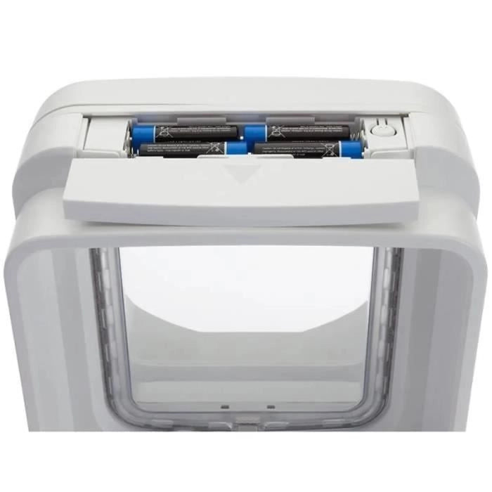 lembo Microchip cat