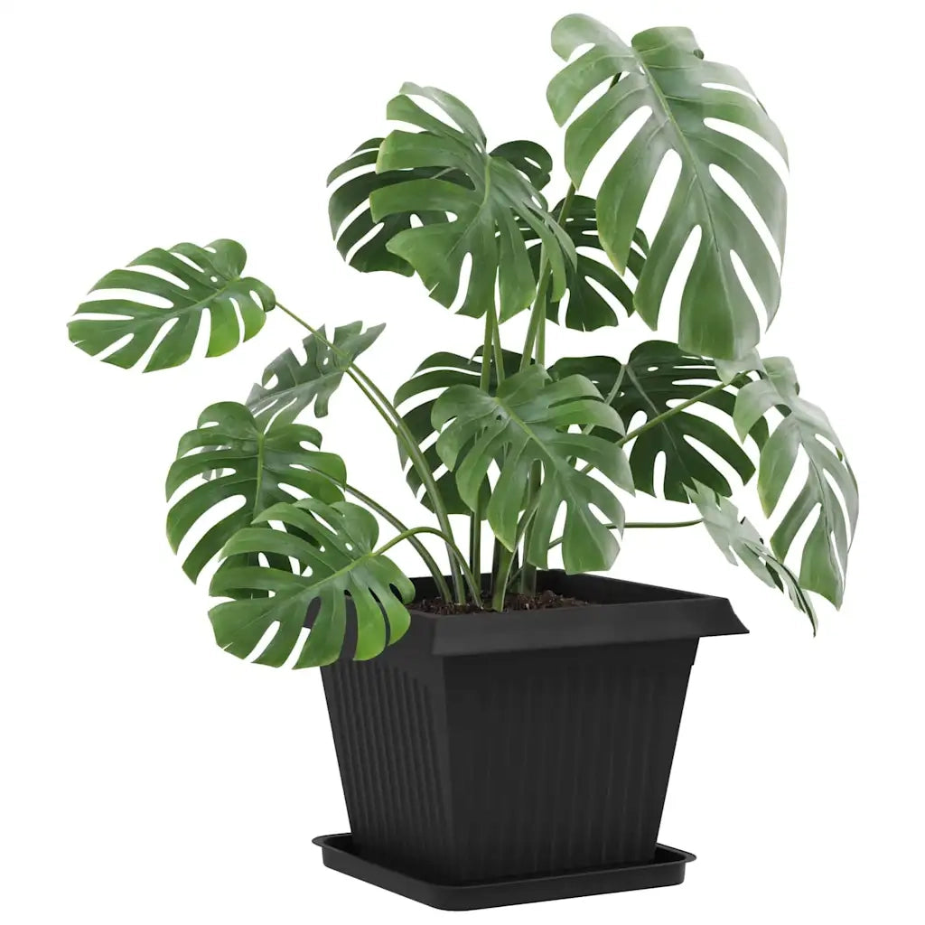 Vassoio Quadrato per Fiori 6 pcs Nero 36 x 36 x 2.5 cm Plastica