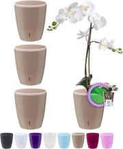 Set di 4 Vasi Auto-Idratanti per Orchidee con Sistema di Assorbimento dell'Acqua e Indicatore del Livello d'Acqua per Uso Interno con Diametro 16,5 cm (Sabbia 3,3 Litri)