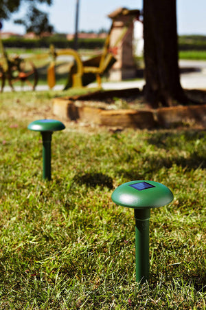 Repellente Scacciatalpa e Roditori a Batteria Ricaricabile Rama Verde