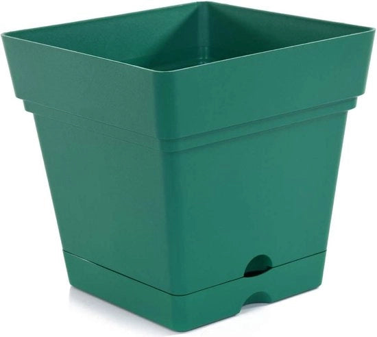 Pianta Vetrata di Fattura Quadrata 165 cm (Verde Bosco) - Ideale per il giardinaggio di fiori sostenibile dentro fuori terrazza prato - Vasi da giardino
