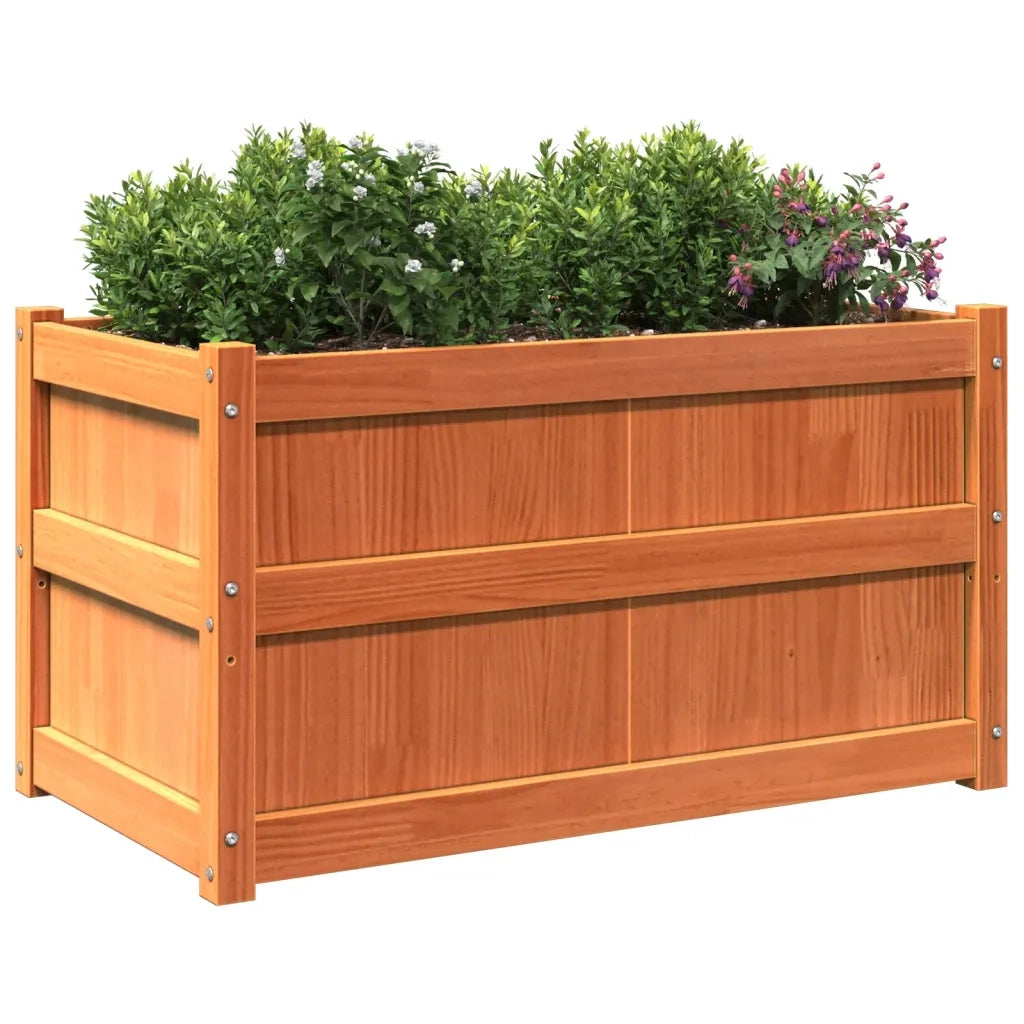 Fioriere da Giardino 2pz Marrone Cera Legno Massello di Pino 837464