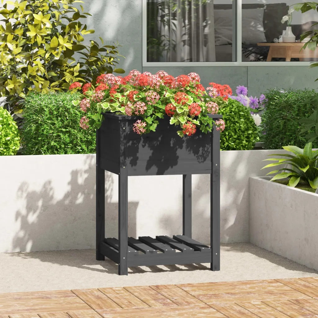 Fioriera | Cassetta per fiori | Vaso con Mensola Grigia 54x54x81 cm Legno Massello di Pino