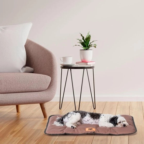 Letto per cani - Cuscino per cani - Anticarrozza - Adatto per piccoli cani - Marrone - 57 x 38 x 3,5 cm