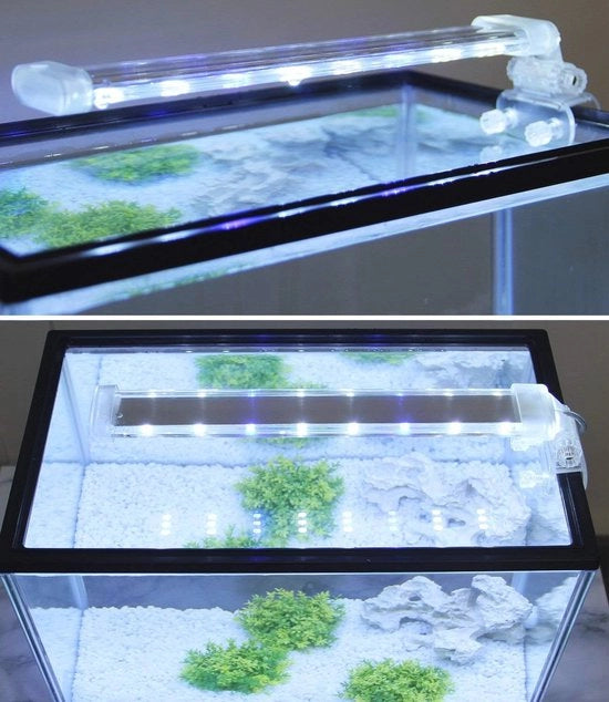 Lampada a LED per Acquario - Illuminazione soffice 12W con luce bianca e blu - 400x40mm