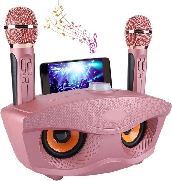 Impianto karaoke portatile vince con altoparlante Bluetooth wireless - 2 microfoni - Set di karaoke per casa per famiglia - Supporto AUX TF - carta U schijf radio FM