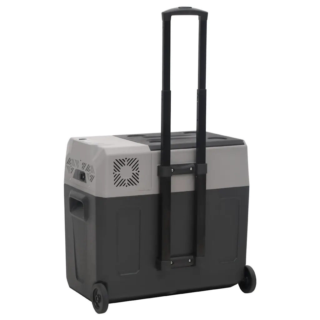 Borsa Frigo con Manico e Ruote Nera e Grigia 40 L Polipropilene 51782
