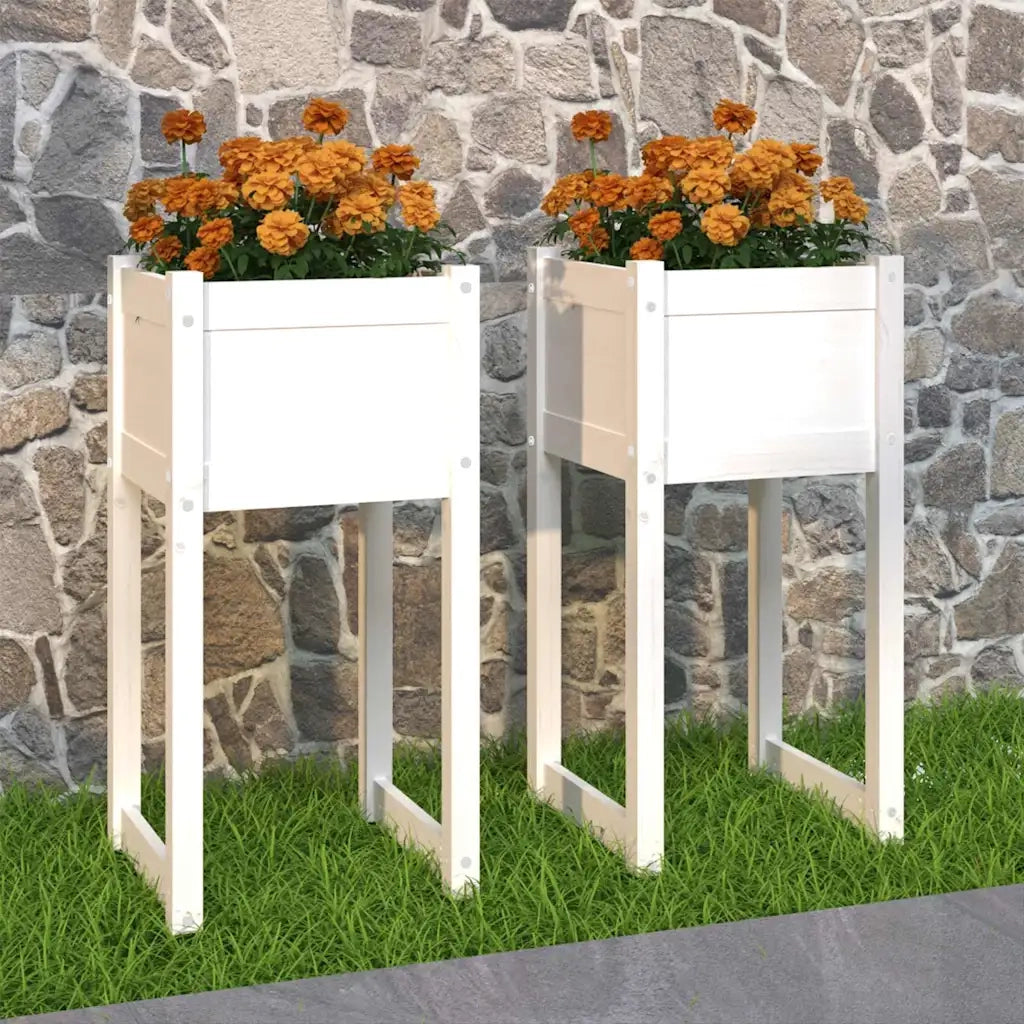 2 pz Fioriere | Cassetta per fiori | Vaso Bianche 40x40x81 cm in Legno Massello di Pino
