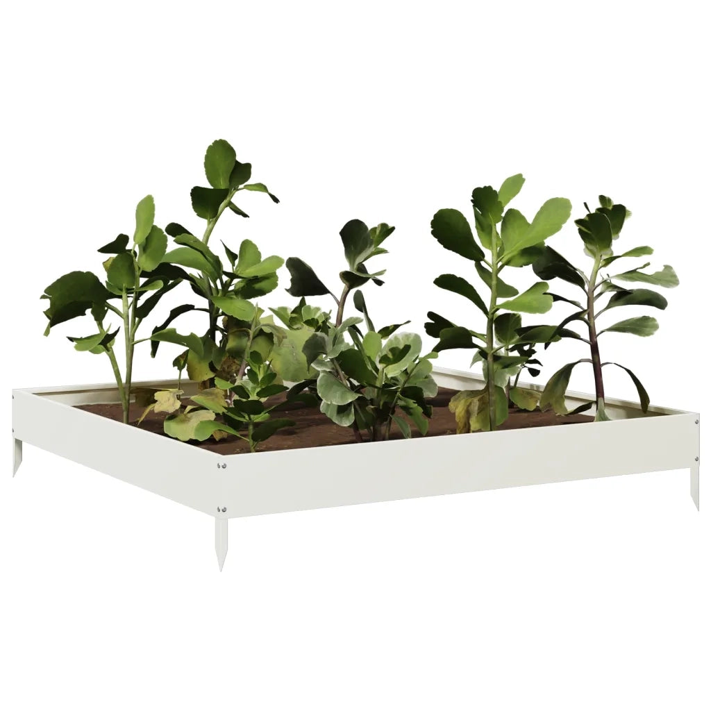 Fioriera | Cassetta per fiori | Vaso Rialzata da Giardino Bianca 100x100x18,5 cm in Acciaio