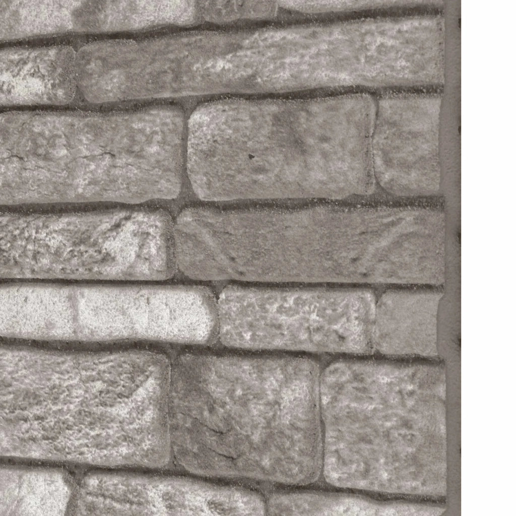Pannelli da parete 10 pcs Grigio Scuro 100 x 50 cm Schiuma EPS