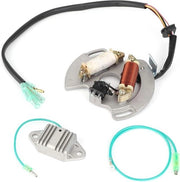 Bobine Stator Plastica - Accessori Regolatori - Adatto per Blaster 200 YFS200 97-02 - Statori per Motocross.