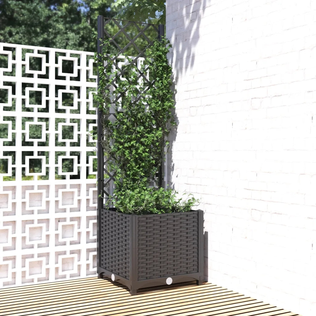 Fioriera | Cassetta per fiori | Vaso da giardino con traliccio nera 40x40x136 cm PP