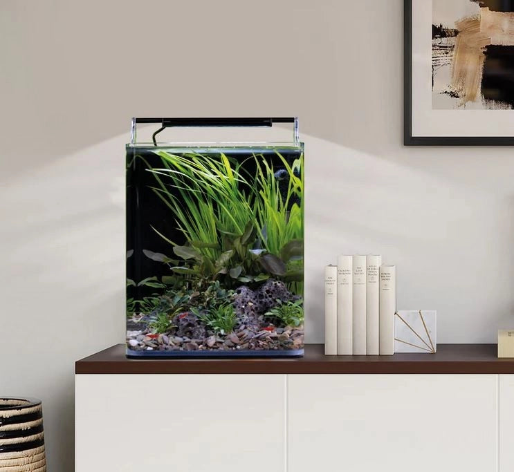 Dennerle Nano Cube Basic 20L - Mini acquario panoramico cm25x25x30h con filtro e LED