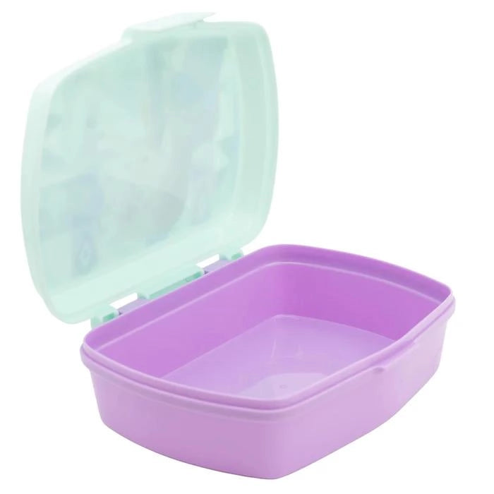 SANDWICH BOX FROZEN 17X12X6H