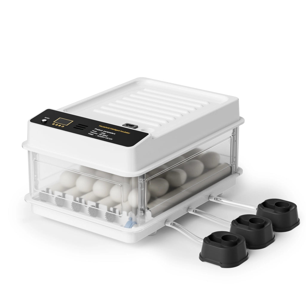 Fudajo Incubatrice di superficie completamente automatica 24 uova Covatrice polli, anatre, pulcini