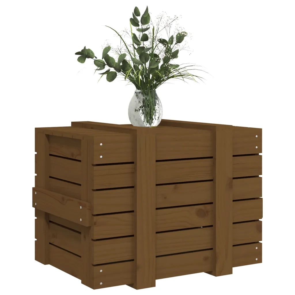 Contenitore Portaoggetti Ambra 58x40,5x42cm Legno Massello Pino 824996