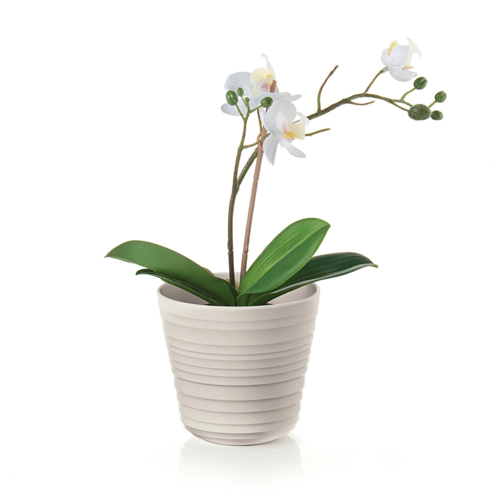 Portavaso singolo Tierra Ø 12 x h 12 cm 1L
