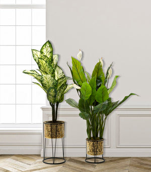 Set 2 Portavasi Ø21x40-19x22 cm in Metallo Nero e Oro