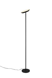 Piantana LED, metallo, nero, H 180 cm, Specter