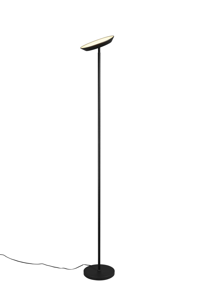 Piantana LED, metallo, nero, H 180 cm, Specter