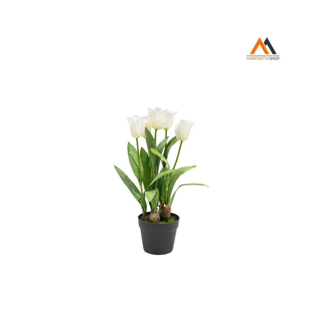 TULIPANO OLANDESE BIANCO IN VASO H54CM