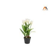 TULIPANO OLANDESE BIANCO IN VASO H54CM